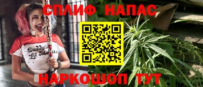 дживик Аша